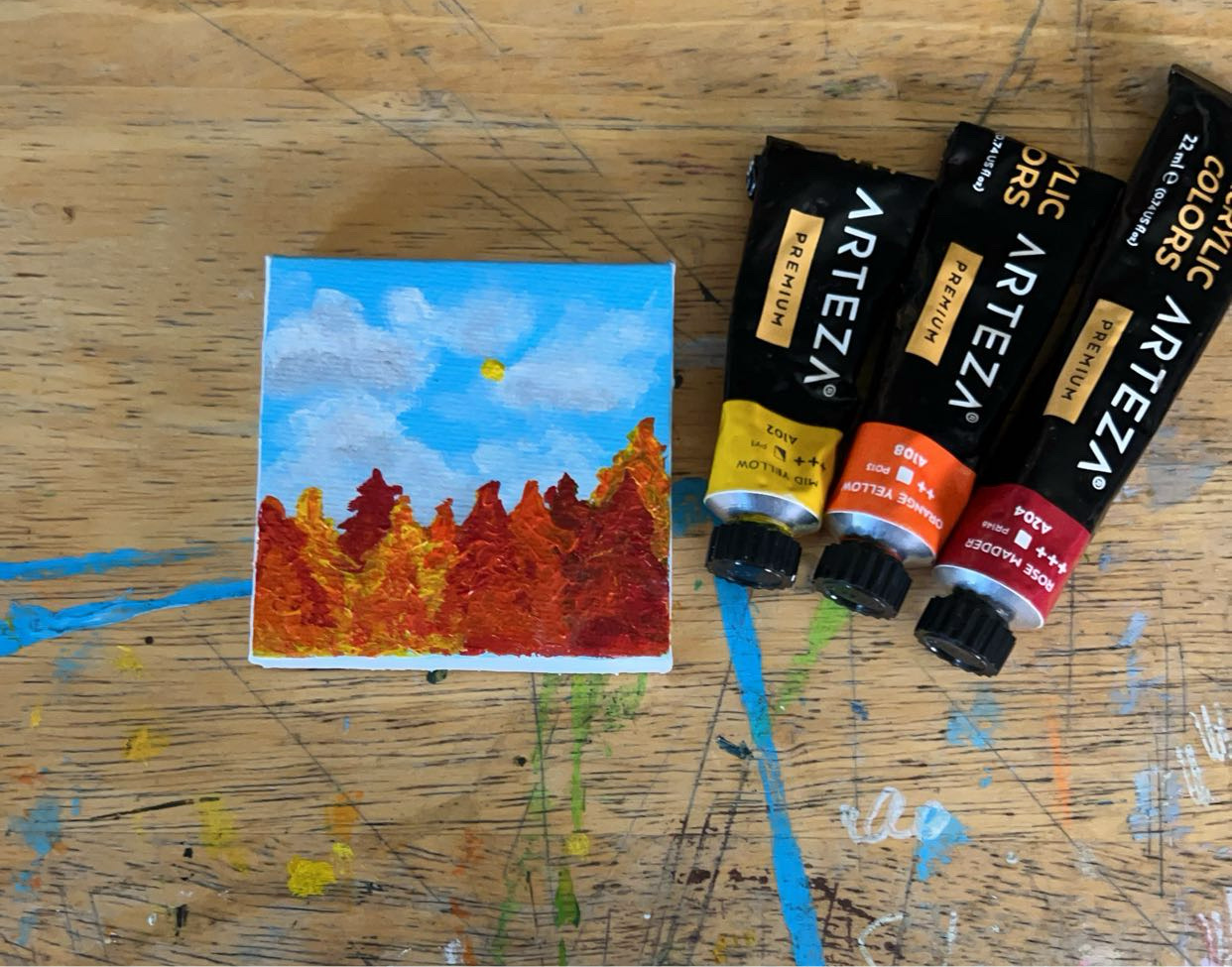 Colorful trees of peaceful